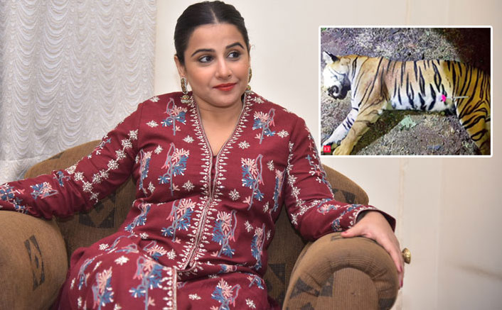 Vidya Balan To Now Play A Forest Officer; Film To Revolve Around The Controversial Killing Of Tigress Avni