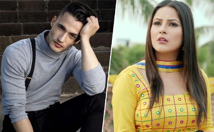 Bigg Boss 13: Not Asim Riaz, Shehnaaz Gill & THIS Contestant To Have A Swayamvar Show?