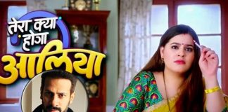 Karan Veer Mehra has a cameo in 'Tera Kya Hoga Alia'