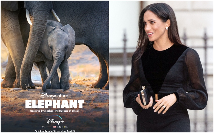 CONFIRMED! Meghan Markle To Narrate Disneynature's Elephant On Disney Plus, Trailer & Release Date Out