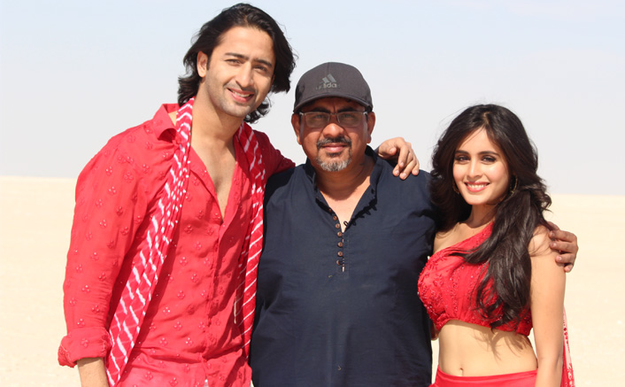 Shaheer Sheikh & Rhea Sharma's Yeh Rishte Hain Pyar Ke Skip One-Year Celebration Amid Coronavirus Pandemic