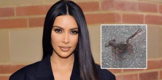 Kim Kardashian Spots A Live Lobster On Street; Troll Has A Super Mean Theory Terming Her ‘Plastic’