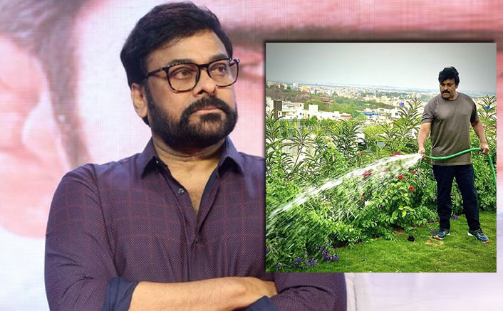 Megastar Chiranjeevi Makes Best Use Of Lockdown Amidst Nature By Watering Plants At Terrace Garden