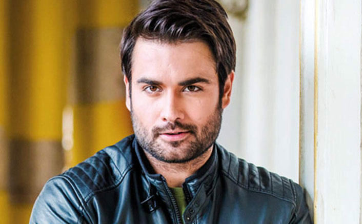 Vivian Dsena On COVID-19 Lockdown: 