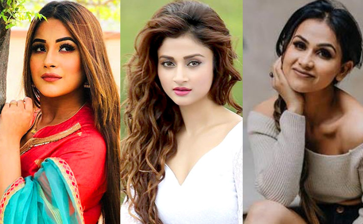 EXCLUSIVE! Ankita Srivastava Defends Shehnaaz Gill’s ‘Virgin’ Remark: “Blown Out Of Proportion”