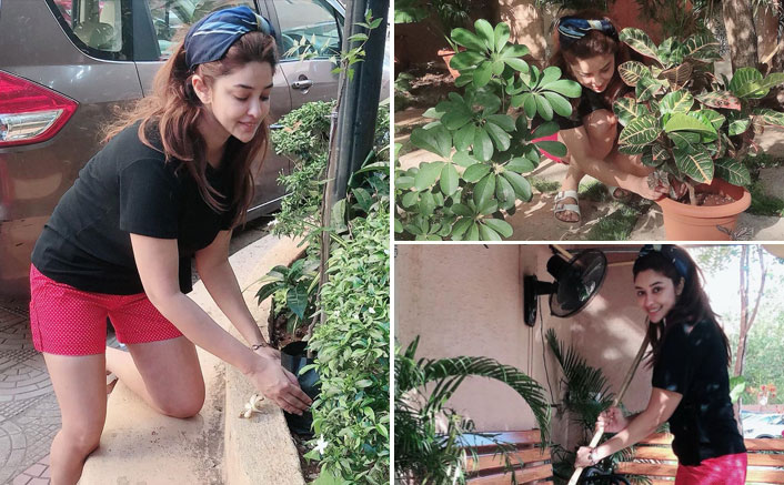 Payal Ghosh Starts Gardening During The Lockdown, Says, "I Never Got The Time Once I Started Acting"