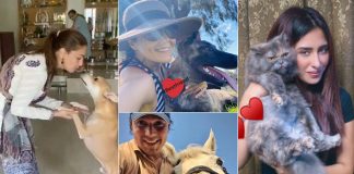 Madhuri, Preity shower love on furry friends on National Pet Day