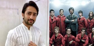 Mahabharat Fame Shaheer Sheikh Doesn't Prefer Watching Money Heist For THIS Reason