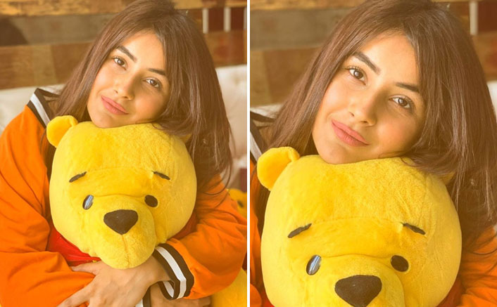 Bigg Boss 13 Contestant Shehnaaz Gill's Latest Pic Will Make You Miss The 'Punjab Ki Katrina Kaif'
