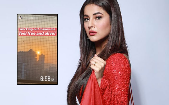 Shehnaaz Gill Is Doing THIS At 6 In The Morning & It Will Leave You Surprised!