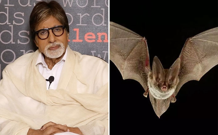 Amitabh Bachchan Shares 'Breaking News' Of A Bat Entering His House, Gets Slammed