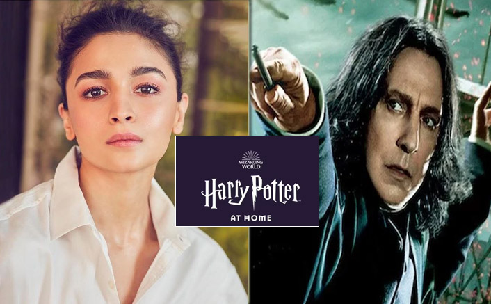 Harry potter discount at home