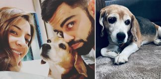 Anushka Sharma & Virat Kohli's Pet Friend Bruno Passes Away, The Couple Mourns His Death