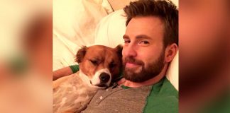 Chris Evans' goofy gaffe while grooming his dog