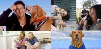 Must-watch titles starring our furry best friends