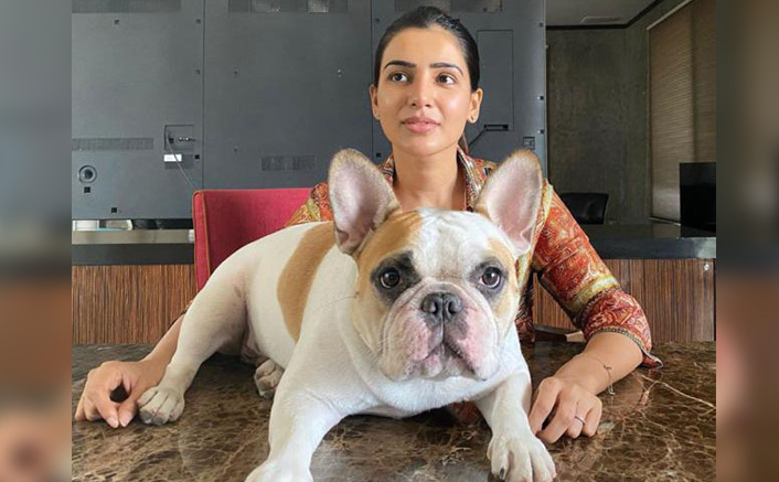 Samantha Has THIS One Thing In Common With Her Pooch & It's Pawdorable!