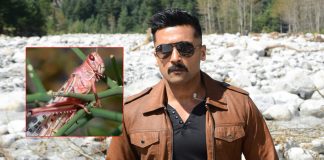 Suriya Starrer Kaappaan Becomes Hottest Topic Of Discussion Amongst Netizens Following Locust Attack In Various Parts Of India