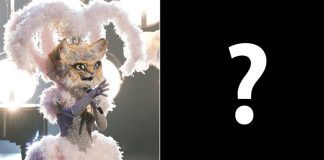 The Masked Singer’s ‘Kitty’ Has Been Identified As THIS Former America’s Got Talent Finalist