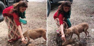 Urvashi Rautela urges people not to neglect stray animals