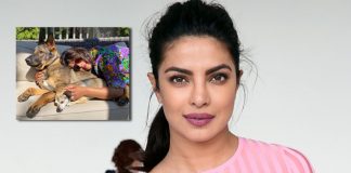 Priyanka Chopra's Pic Full Of Sunshine With Her Doggos Will Wipe Away Your Lockdown Blues