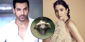 Anushka Sharma To John Abraham Celebs Express Their Anger Over Brutal Killing Of A Pregnant Elephant In Kerala