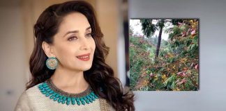 Madhuri Dixit shares a portrait of 'calm before the storm'