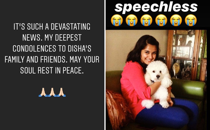 Sushant Singh Rajput Devastated With Ex-Manger Disha Salian’s Demise, Varun Sharma, Bharti Singh & Others Pay Tribute