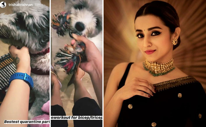 Trisha Krishnan's New Workout Routine For Biceps & Triceps Is All Sorts Of Cute