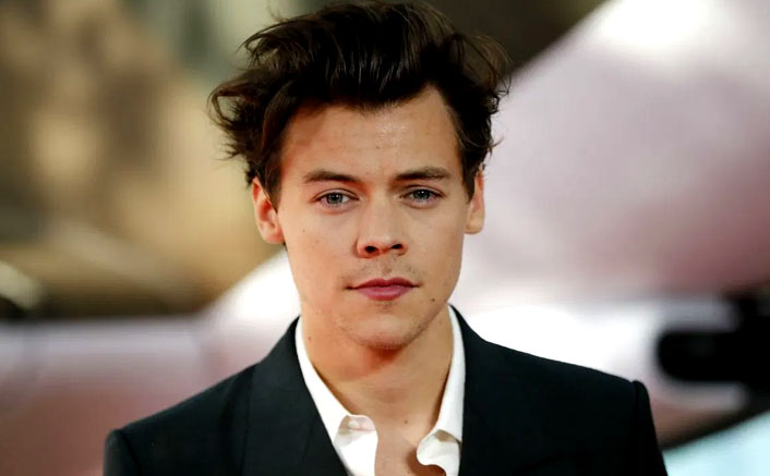 Watermelon Sugar Singer Harry Styles' Net Worth Proves He's Doing A LOT More Than Just Living Or Existing