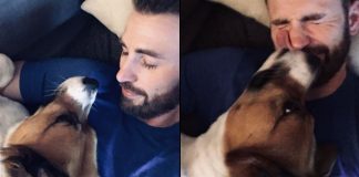 Chris Evans Says He's A 'Nervous Parent' Ahead Of Pet Dodger's Hip Surgery