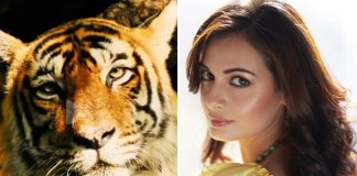 Dia Mirza on tiger conservation: It is not just an emotional appeal