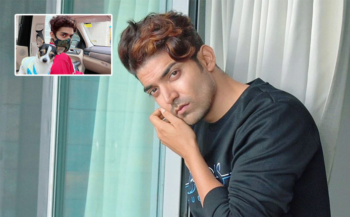 Gurmeet Choudhary On COVID-19's Situation In Bihar: "It's VERY Sad"