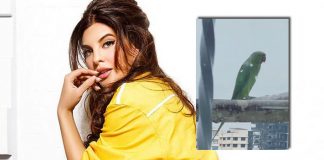 Jacqueline Fernandez has a squawky new 'wake up call'