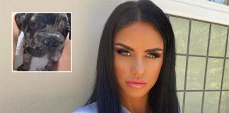 Katie Price Is Shattered Due To Daughter Princess' Puppy Rolo's Death!