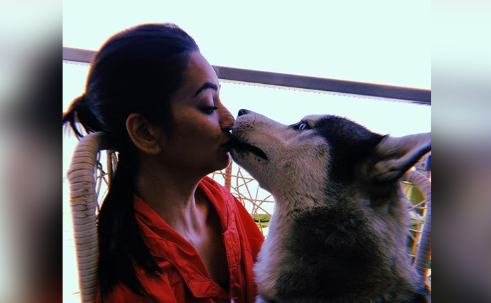 Kriti Kharbanda's new post is about true love and pet passions