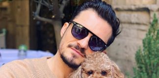 Orlando Bloom Is Broken As His Pet Mighty Goes Missing, Seeks Help From Fans To Find His Canine Friend