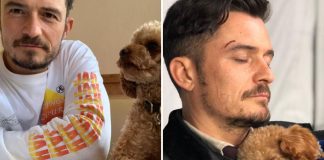 Orlando Bloom Says Being Unable To Find And Protect His Dog Mighty ‘Is A Waking Nightmare’