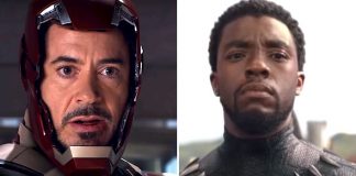 Robert Downey Jr's Iron Man & Chadwick Boseman's Black Panther Have A Collection, Claims Latest Theory!