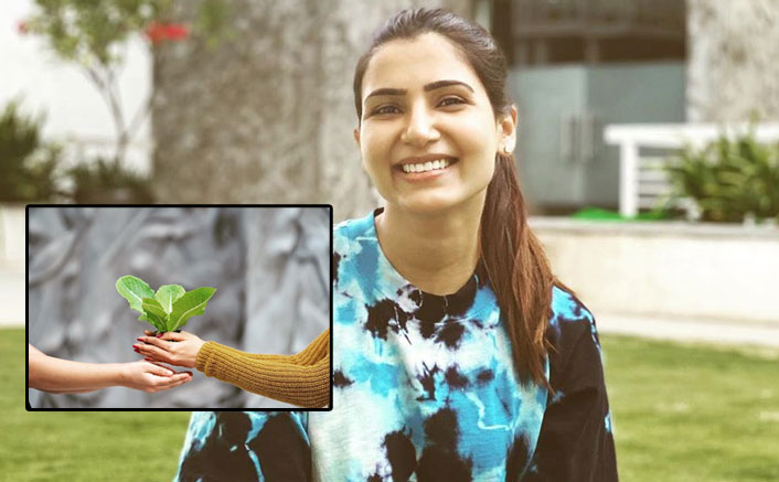 Samantha Akkineni Urges Fans To Be 'Gangsta Gardeners': "Planting A Seed Can Bring Change"