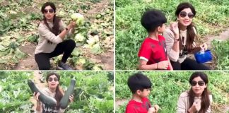 Shilpa Shetty: Have accepted vegetarianism completely