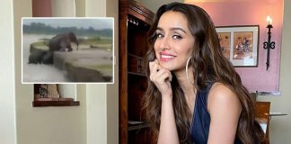 Shraddha Kapoor shares a heartwarming glimpse of elephants helping a calf out, raising more awareness