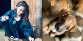 Tamannaah Bhatia's 'pawfect' puppy love