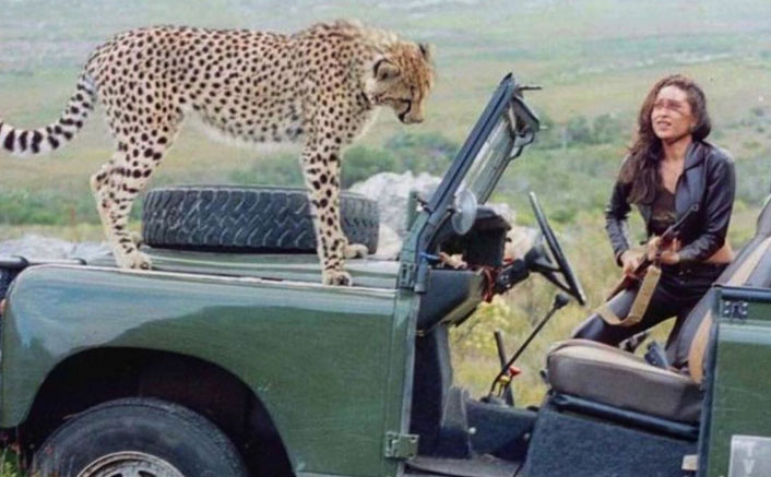 Karisma Kapoor Shares A Same Frame With A Cheetah & Asks Fans To Guess The Film 