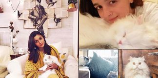 Alia Bhatt Is An Adorable Cat Mommy & Her Instagram Page Is A Heaven For All Feline Lovers - Celebrity Pals!