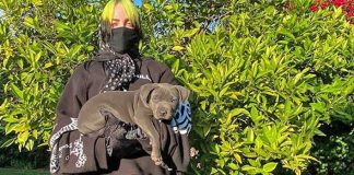 Billie Eilish’s Dog Is The OG ‘Bad Guy’ As He Poops On Her 6.7 Lacs of Sneakers Collection