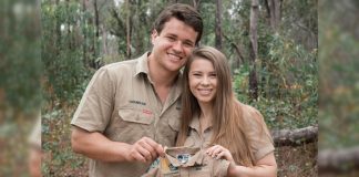 Bindi Irwin & Chandler Powell's Pregnancy Announcement Is Super Cute, Check It Out!
