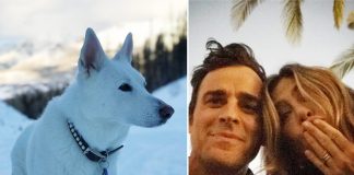 Jennifer Aniston & Ex-Husband Justin Theroux's Pet Dog Dolly Played An Integral Part In Their Lives - Celebrity Pals!