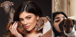 Kylie Jenner Has 8 Doggos & An EXCLUSIVE Dog Mansion For Them; Everything You Need To Know! - Celebrity Pals