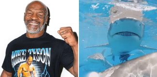 Mike Tyson Knocks A Shark To Sleep In Discovery Channel’s Tyson VS. Jaws: Rumble On The Reef