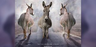 Poster parodying 'Sadak 2' goes viral